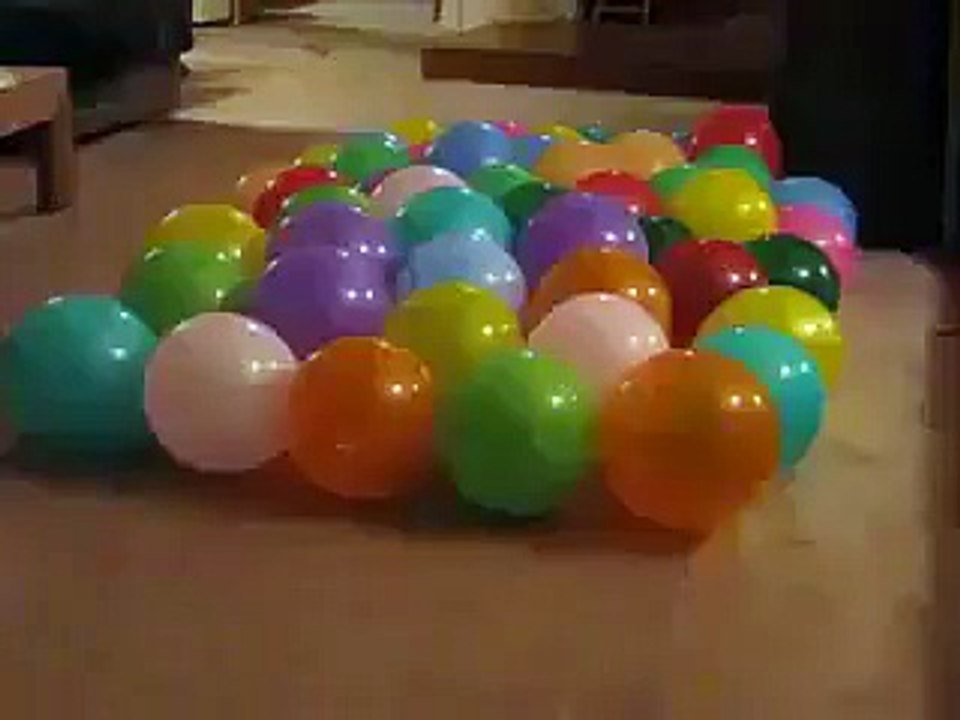 dog's birthday