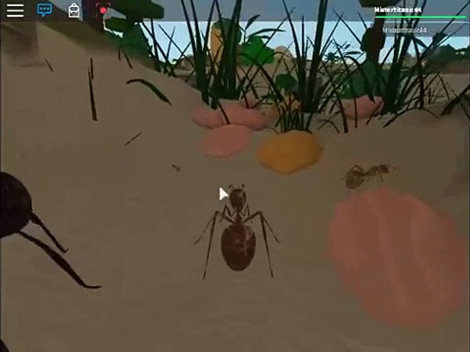 Roblox Ant Simulator How To Dig