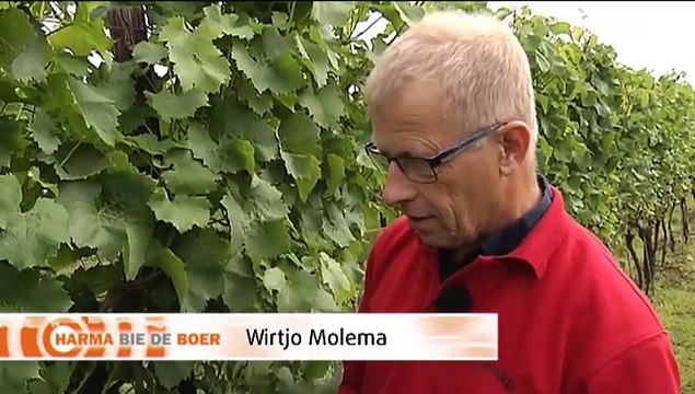 Het Weer: Harma bie de boer [8-9-2015] - RTV Noord