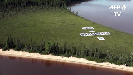 Au Québec, les Cris bien décidés à sauver la forêt boréale