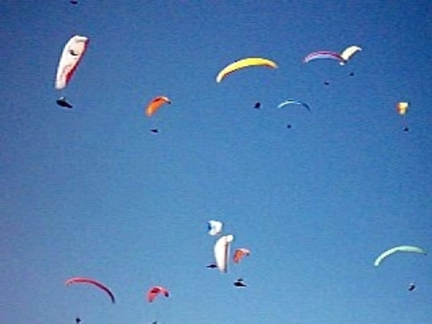 ⁣paragliding
