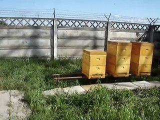 Polyurethane beehives - Farostup V10