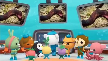 Octonauts Creature Report - The Sea Snot Cucumber