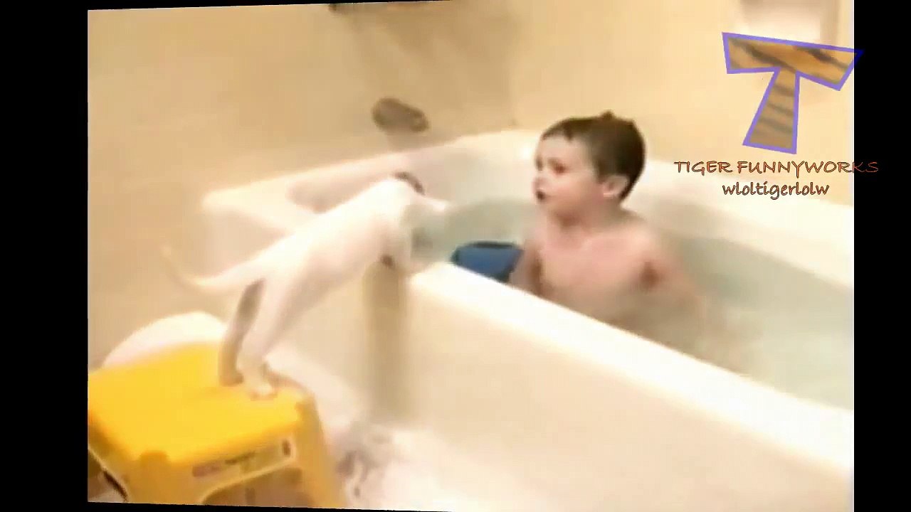 Cats just don't want to bathe - Funny cat bathing compilation