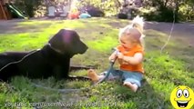 Funny Videos   Babies Laughing at Dogs   Cute dog & baby compilation   Video Dailymotion