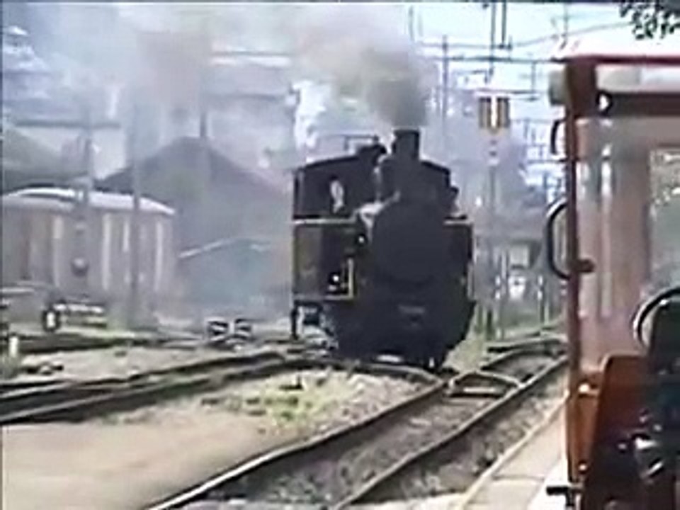 Swiss Narrow Gauge Steam Train: Meiringen to Interlaken-Ost