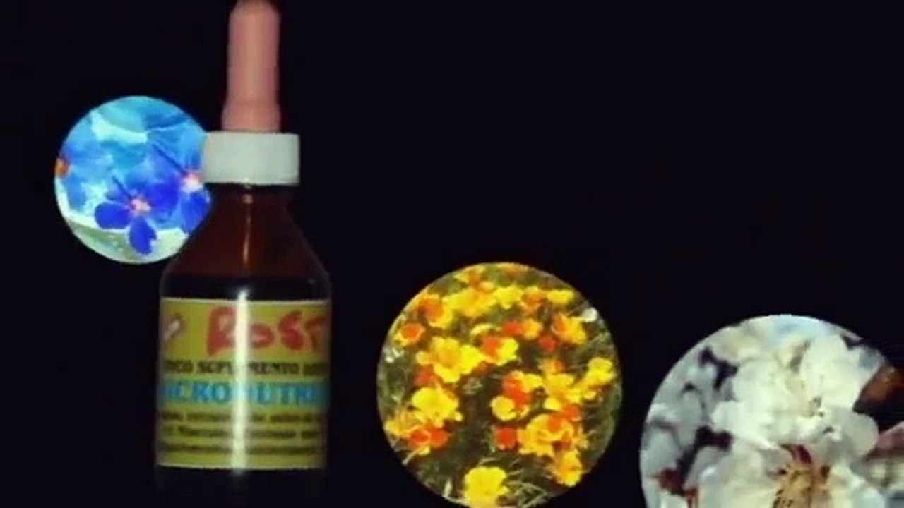 Las Esencias de Rost. Omar Rost. www.esenciasrost.com