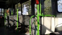 Budapest Bus - Ikarus 280 [BPI-784]