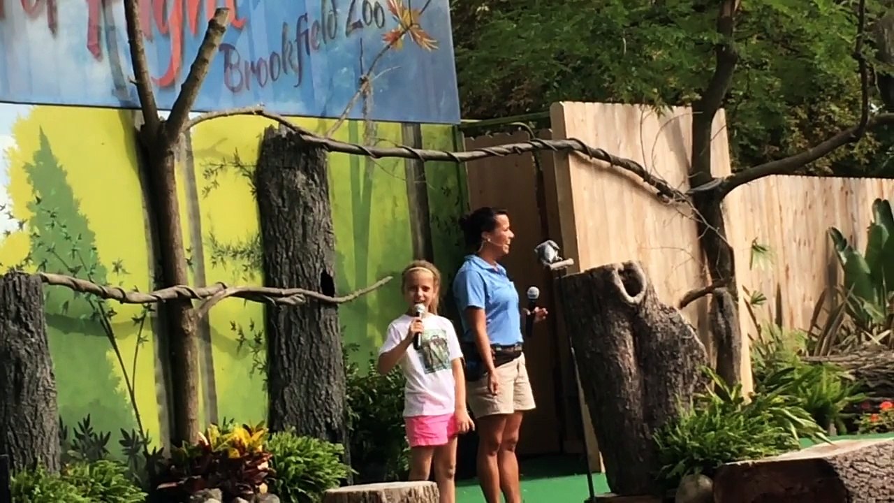 Brookfield Zoo - Festival of Flight (funny child)