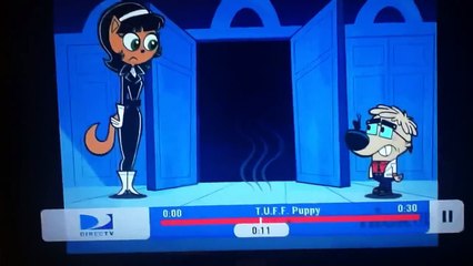 Love Tuff Puppy? - Pets Next Door