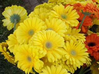 Test de Colorimétrie HD720p