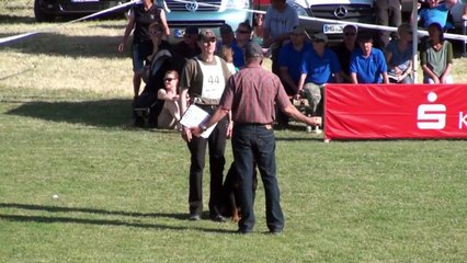 Elch vom Heltorfer Forst . GP. 2014. Bitework