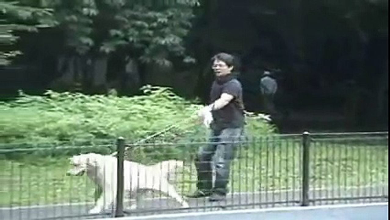 犬しつけ 森田流～ゴールデンレトリバー