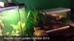 Reptile Room Update October 2013 Before Reptile Expo!