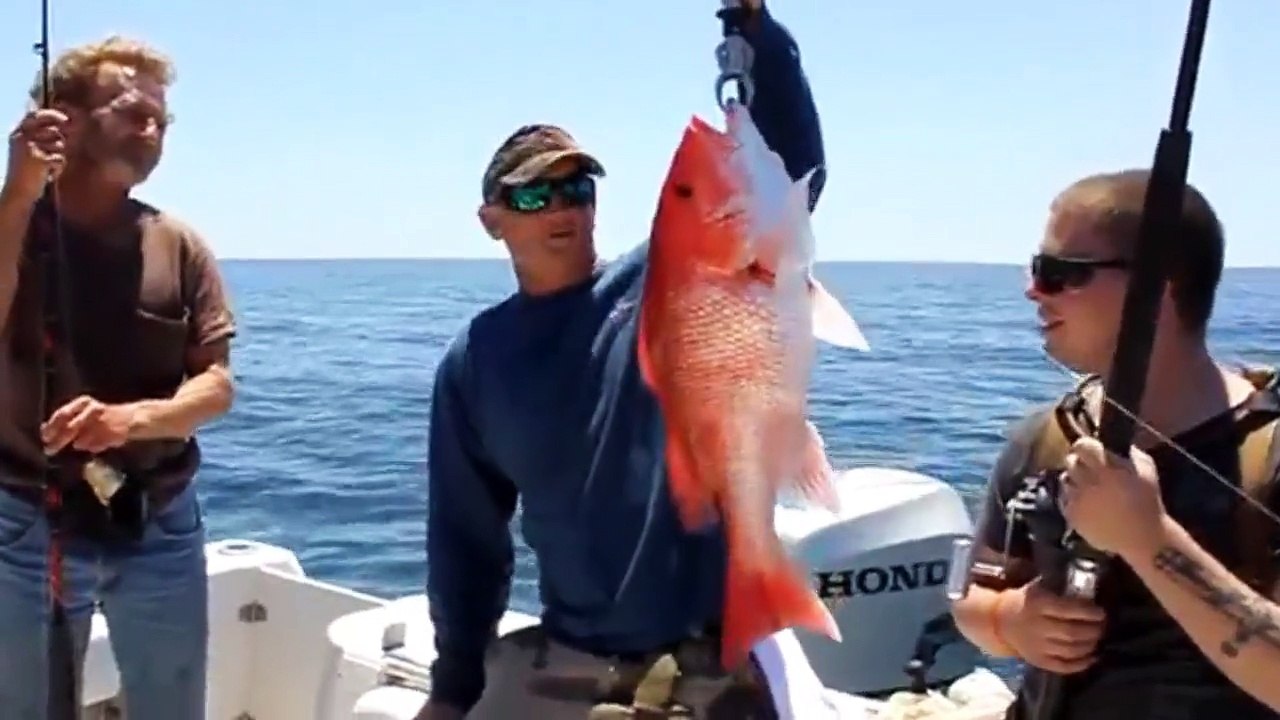 Bir günde bu kadar mercan yakalayan var mı!!! Mercan avcıları!!!