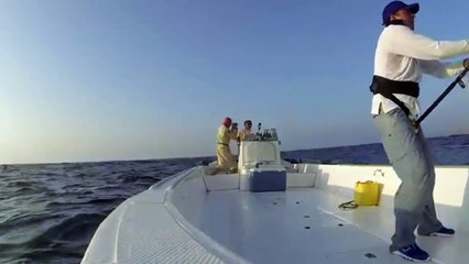 Böyle balık yakalasam ölene kadar anlatırım!!! Yere yapıştırdı!!!