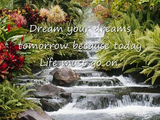 More to this Life by Steven Curtis Chapman