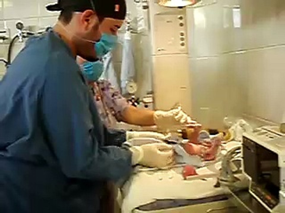 Pediatria