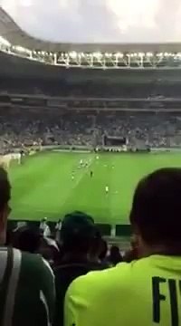 Torcedor corintiano comemora gol no meio da torcida do Palmeiras