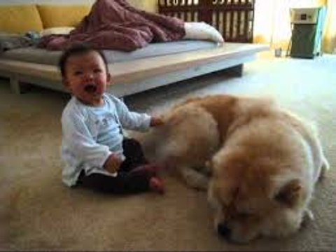 Baby tries to wake up sleeping dog - Let's play!