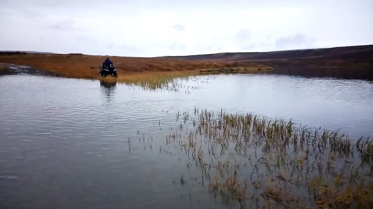 Wyp-Motor WP-500
