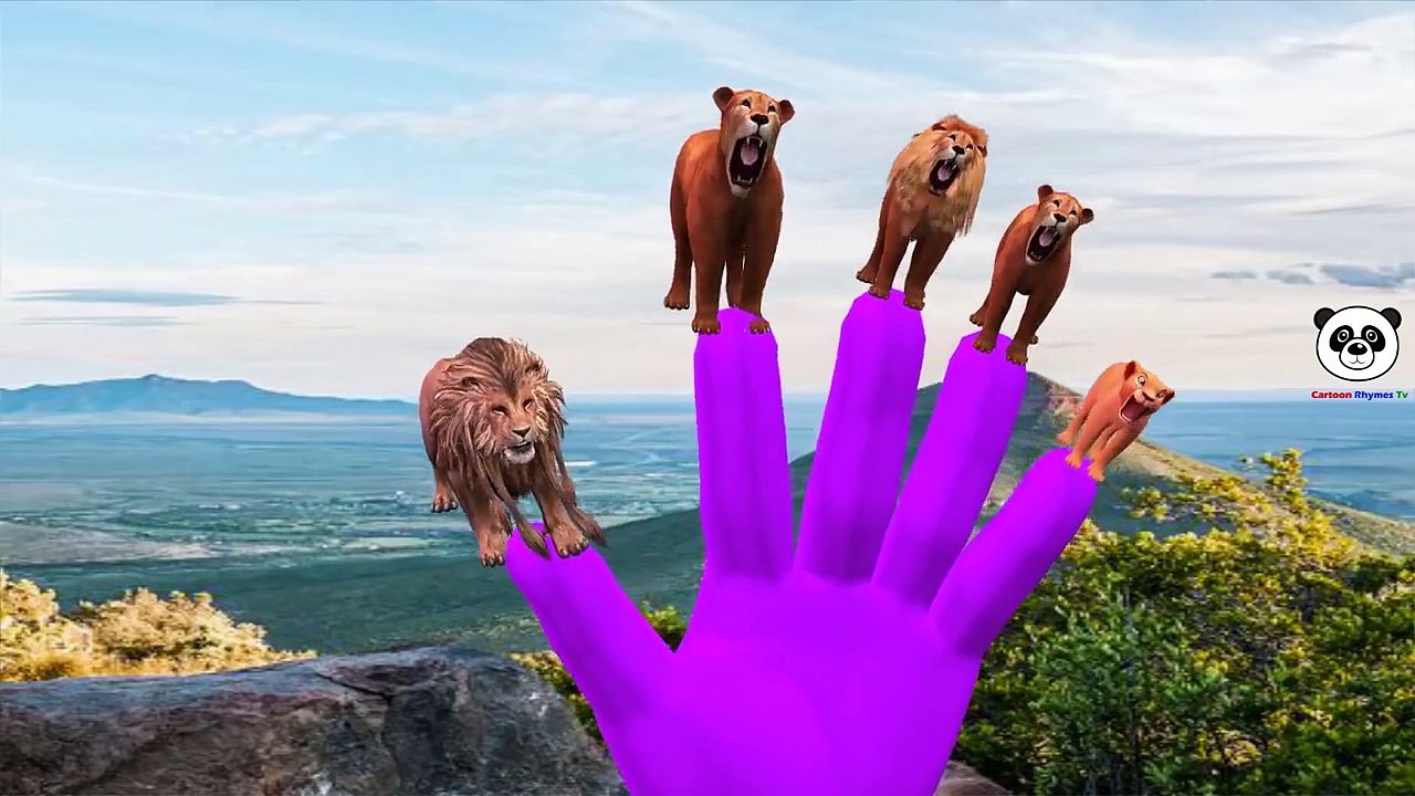 Finger Family Lion Vs Elephant Cartoons For Kids | Lion Vs King Kong Children Nursery Rhymes