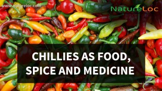 Chillies as food,spice and medicine – whole lot of fragrance and flavour to Indian cuisine