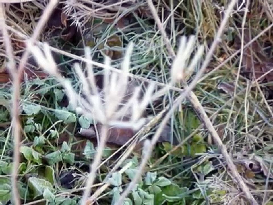 Город погибших ангелов