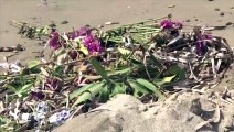 Un mémorial de fleurs érigé sur la plage où a échoué le petit Aylan