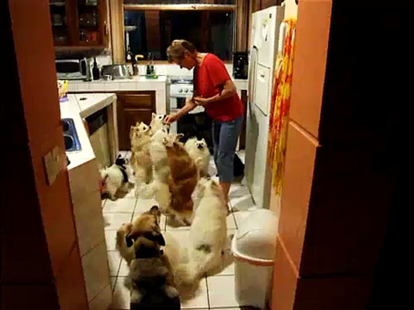 ⁣Treat time at Lighthouse Animal Rescue Shelter