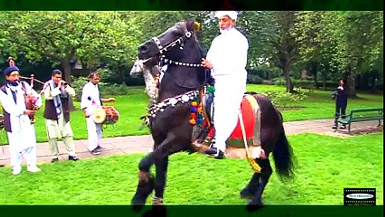 انگلینڈ  شادی کی تقریب میں گھوڑوں کا رقص ۔۔۔ پاکستانی تجھے سلام