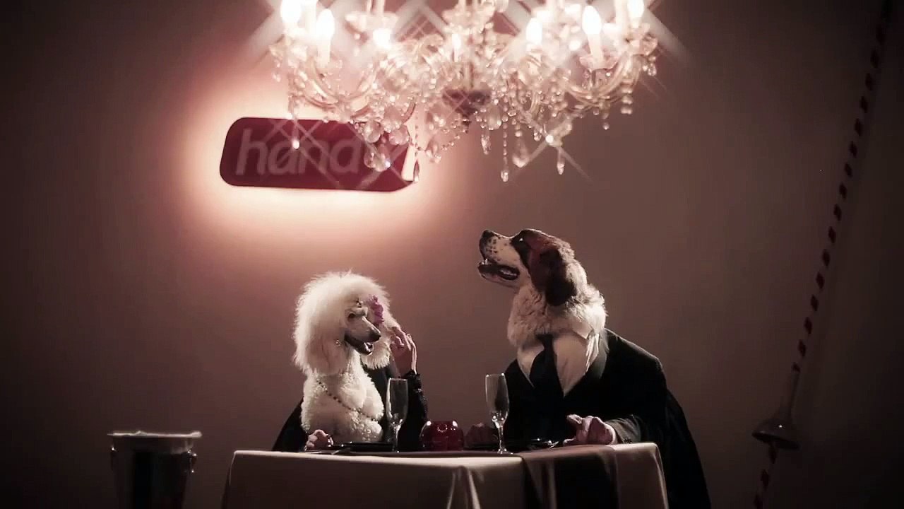 Handy - кучета Alcatel 20 05