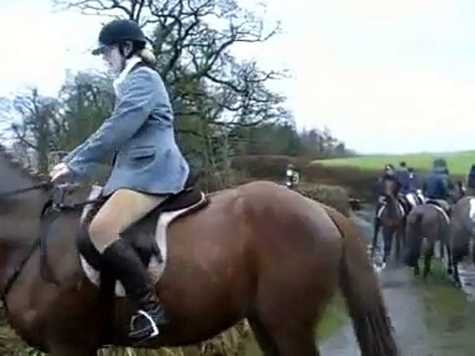 We Love Our Animals!