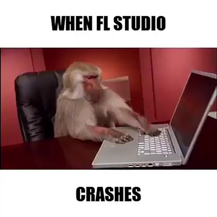 monkey operate computer