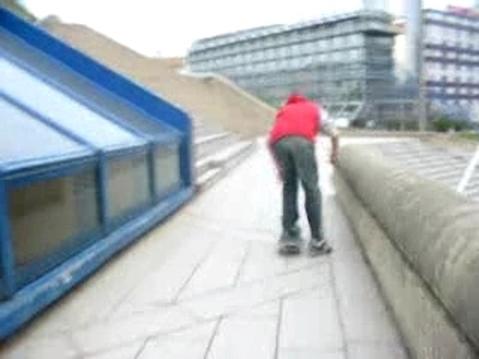 ROMAIN SKATE