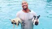Dwayne 'The Rock' Johnson rescues drowning puppy
