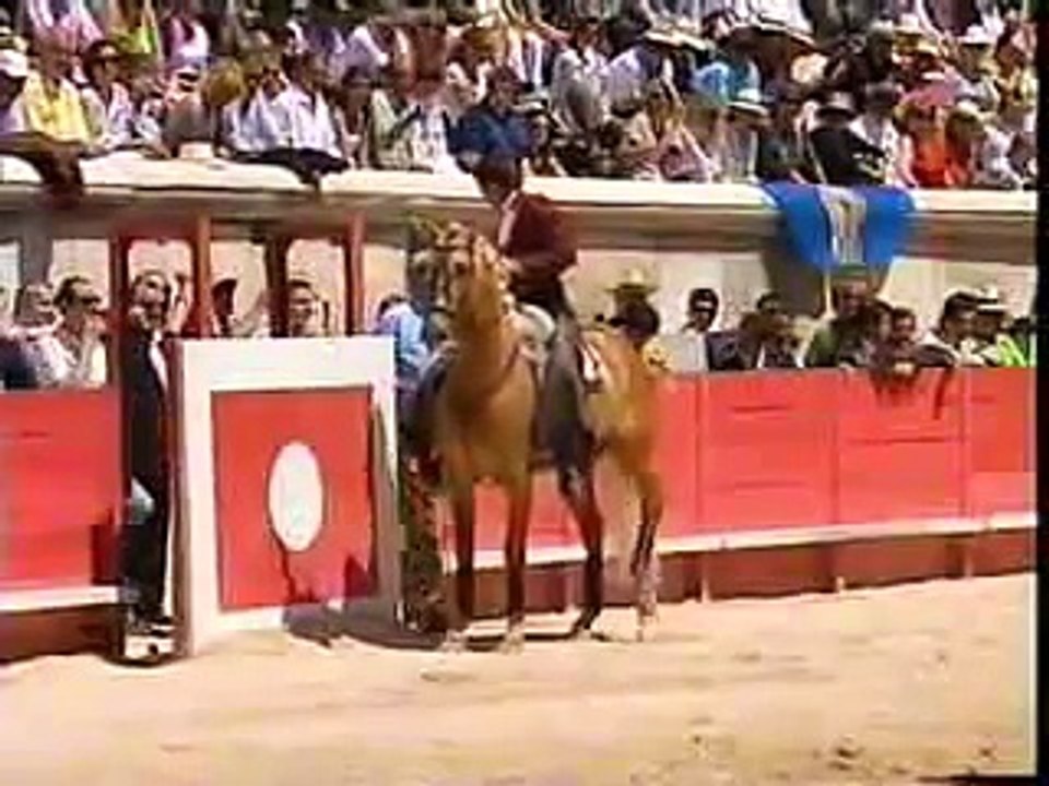 O Cavalo e o ballet (Merlin e Pablo)