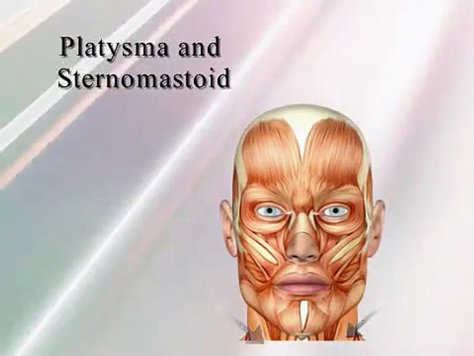 Face Exercises - Lift Your Sagging Jowls