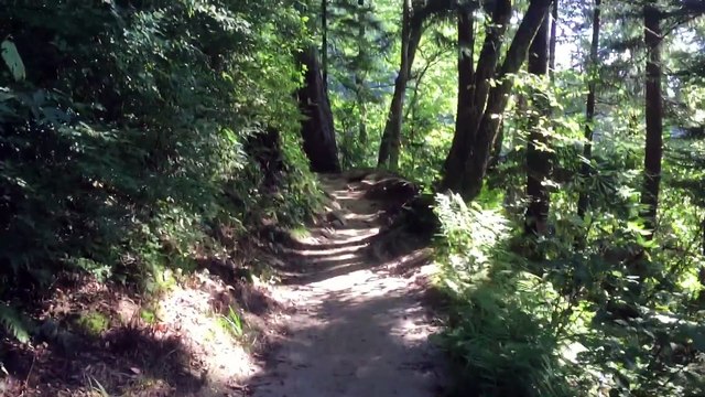 Mobile Capture Sep 8, 2015