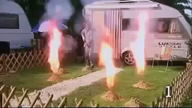 10 Dinge, die Sie nicht tun sollten, wenn Sie Maulwürfe im Garten haben