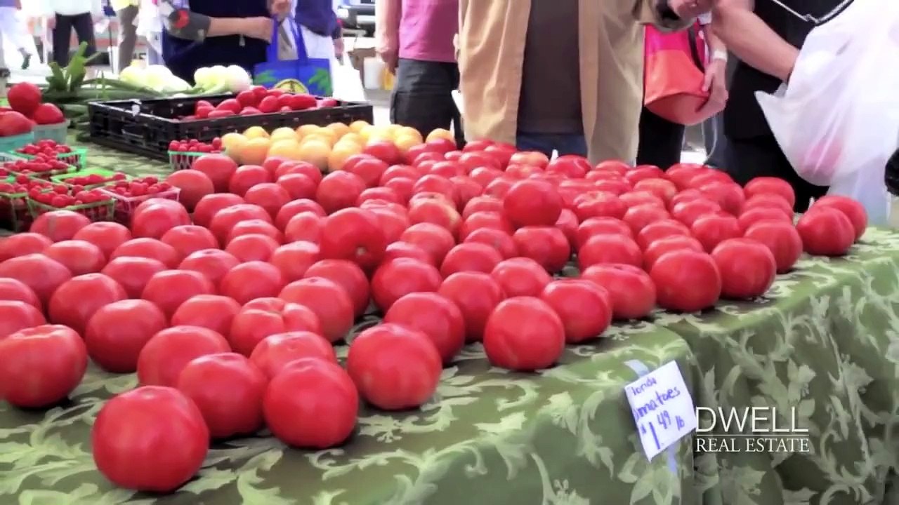 Downtown Sarasota, Florida - DWELL Real Estate