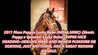 Peppys Lucky Babe (NRHA,NRBC)