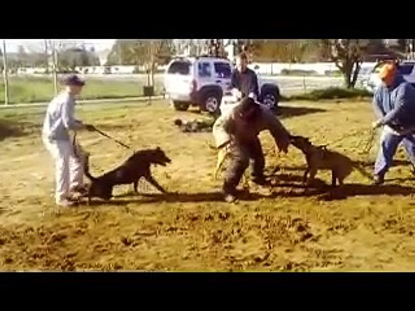 ⁣Bay Area Ca Pro Dog Training 4 dog attack protection training