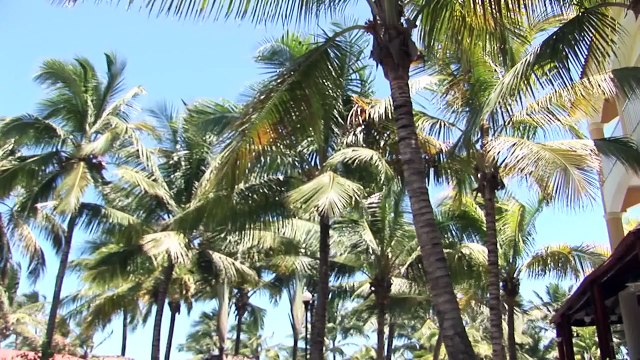 Hotelvideo Viva Wyndham Tangerine, Dominikanische Republik, Dom. Rep. (Nordküste), Cabarete