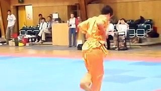 Austrian Wushu Championship 2008 (Best-Of)