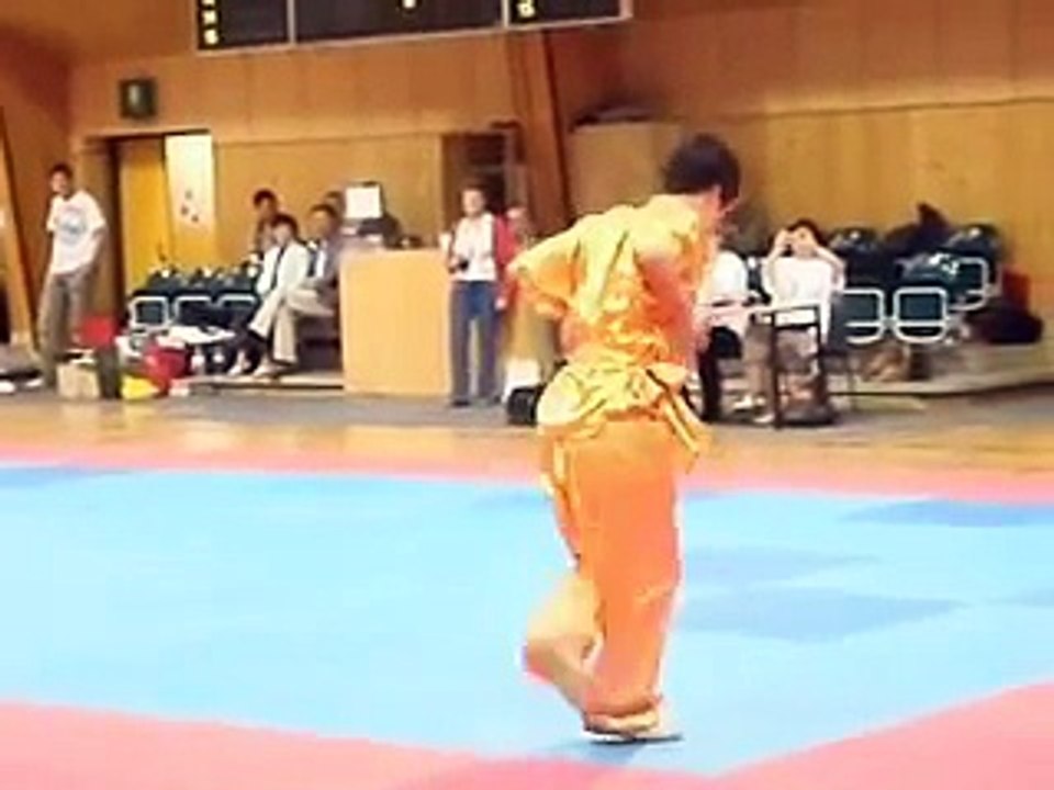 Austrian Wushu Championship 2008 (Best-Of)