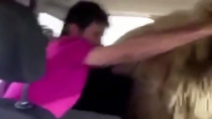 Zeko İle Ato Koçla Yolculuk