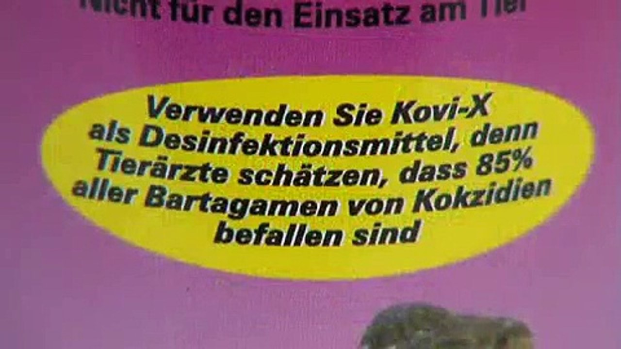 Hygiene im Terrarium