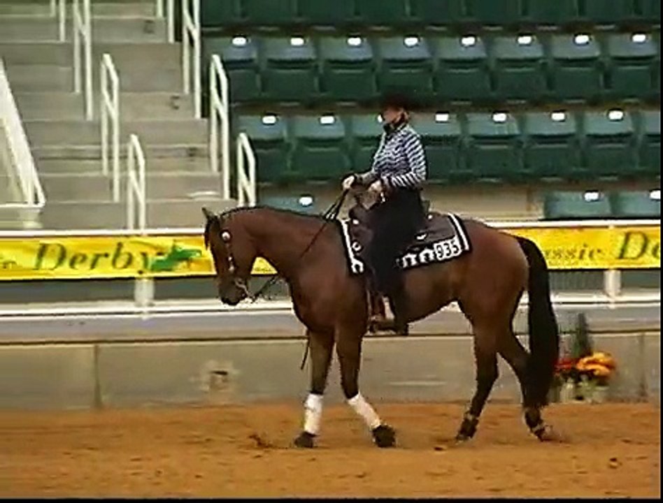 ChicMeOut Carolina Classic Reining Derby