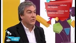 Científicos Industria Argentina - Células Madre